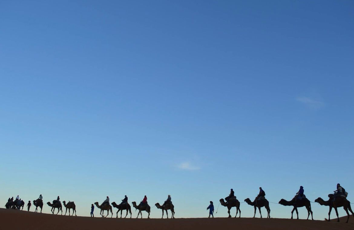 قافلة جمال على حافة الكثبان في الصحراء
